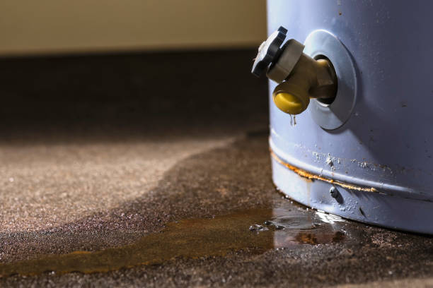Trusted Youngwood, PA Water damage restoration Experts